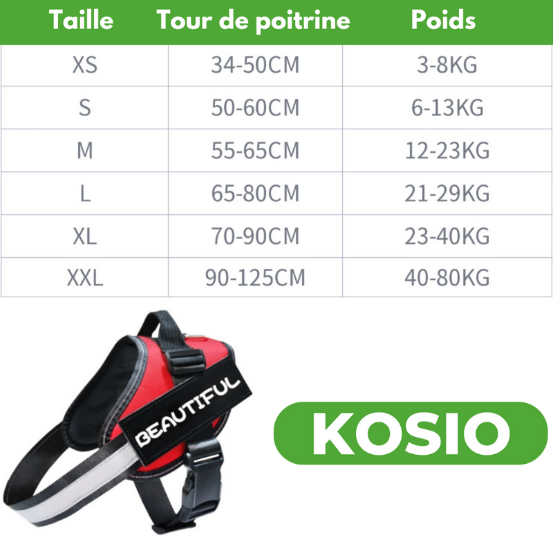 Harnais anti étranglement + personnalisé avec nom et numéro de téléphone